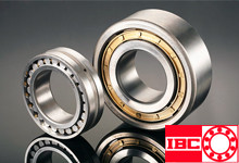 IBC圆柱滚子轴承 Cylindrical Roller Bearings